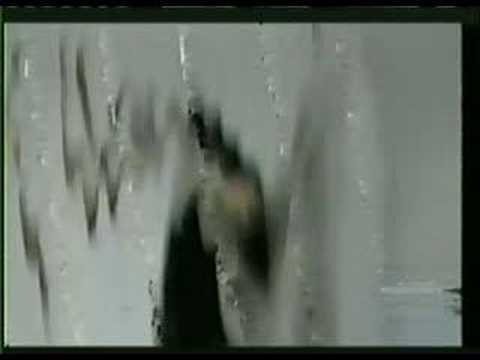 Everything off YouTube is Video Art